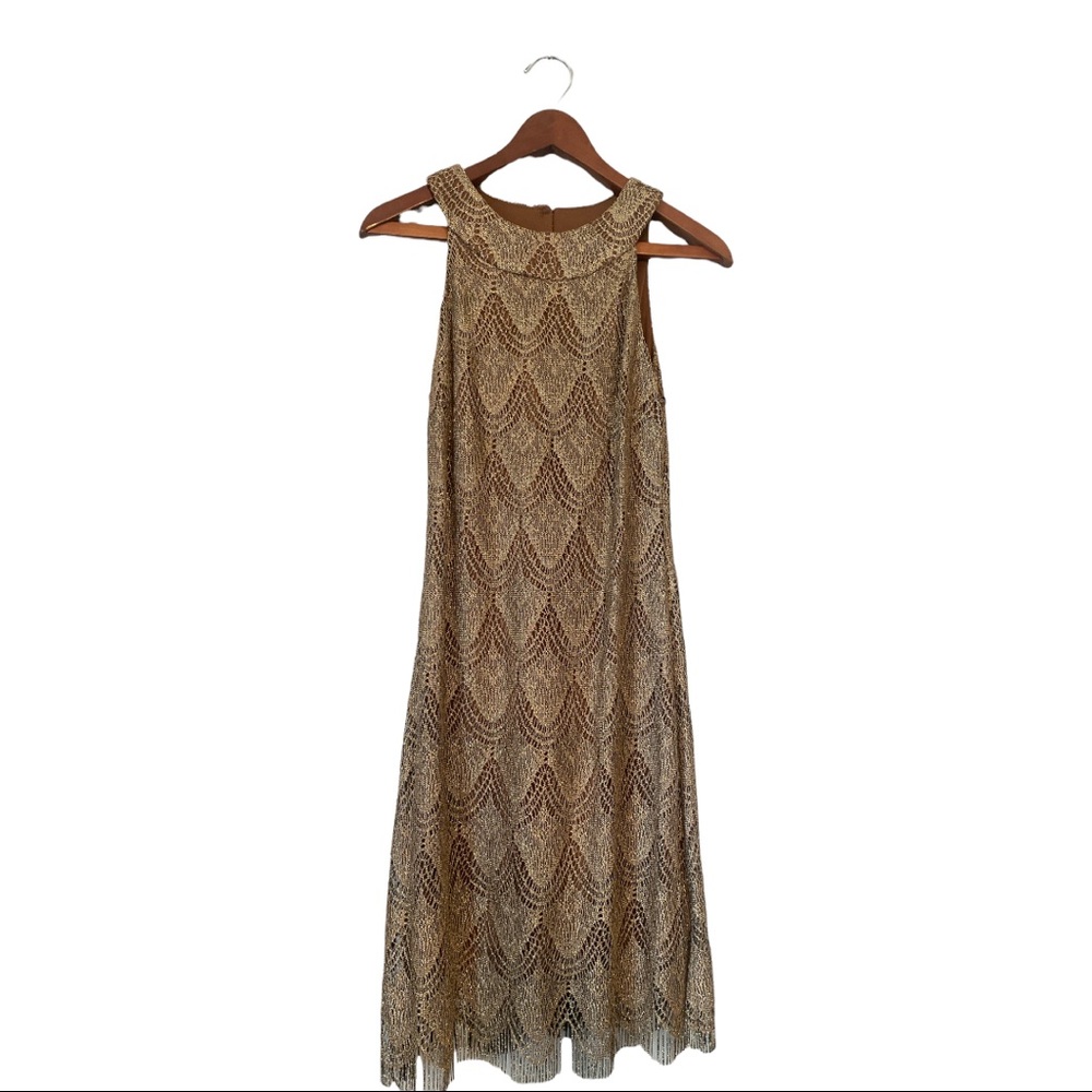 S. L. fashions Crochet Fringe Hem Dress